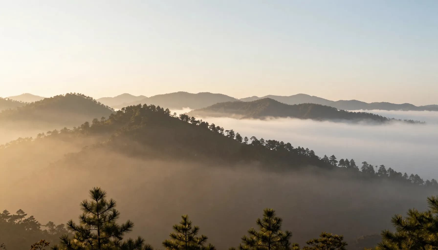 Morning mist lying between pine-covered ridges as the sun comes up over Alder Valley